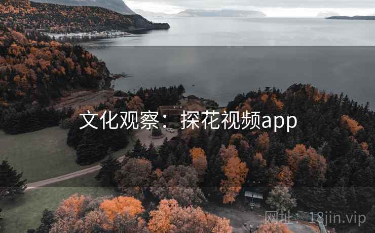 文化观察：探花视频app