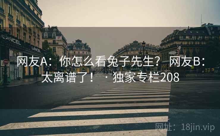 网友A：你怎么看兔子先生？ 网友B：太离谱了！ · 独家专栏208