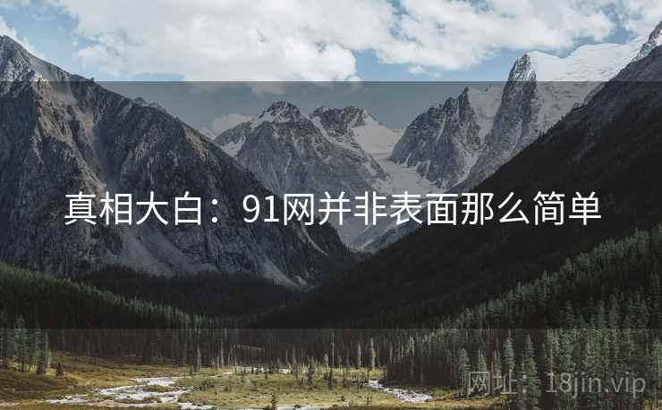 真相大白：91网并非表面那么简单