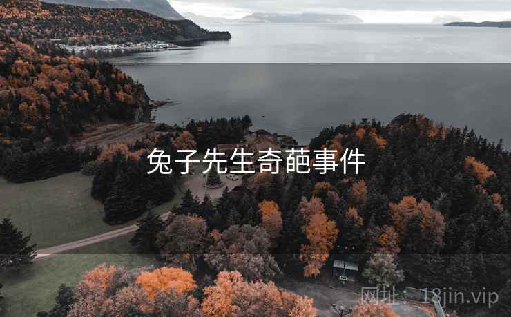 兔子先生奇葩事件