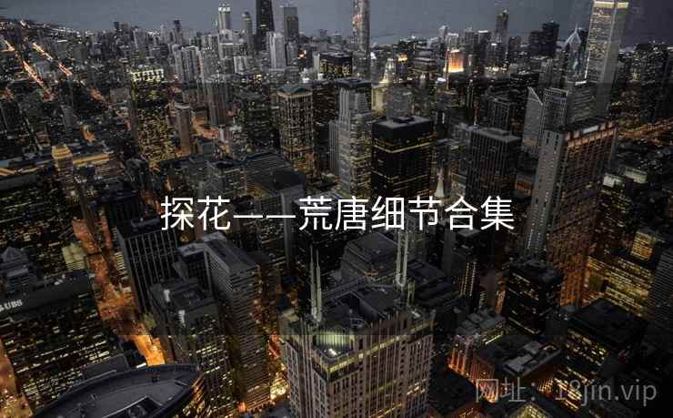 探花——荒唐细节合集