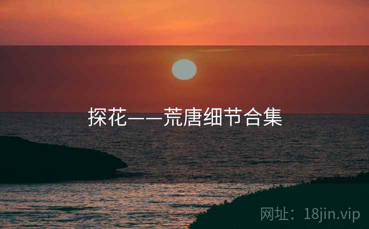 探花——荒唐细节合集