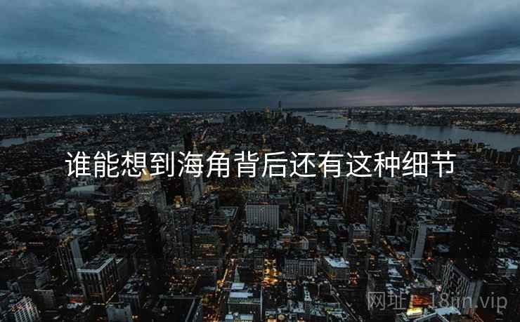 谁能想到海角背后还有这种细节