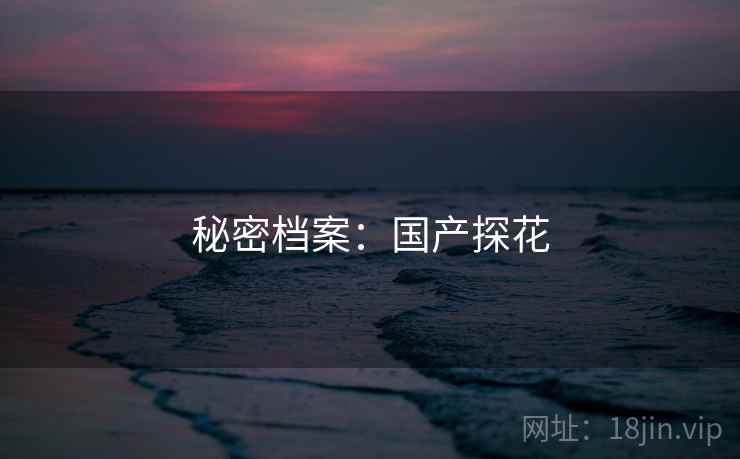 秘密档案：国产探花
