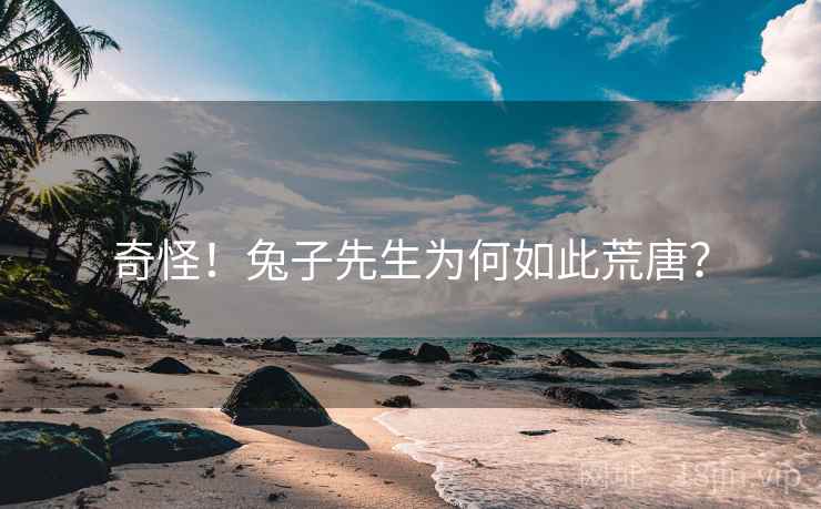奇怪！兔子先生为何如此荒唐？
