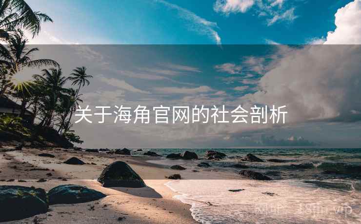 关于海角官网的社会剖析