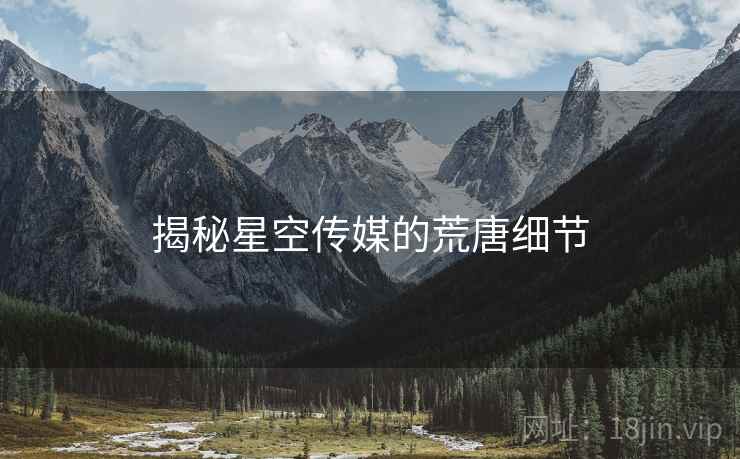 揭秘星空传媒的荒唐细节