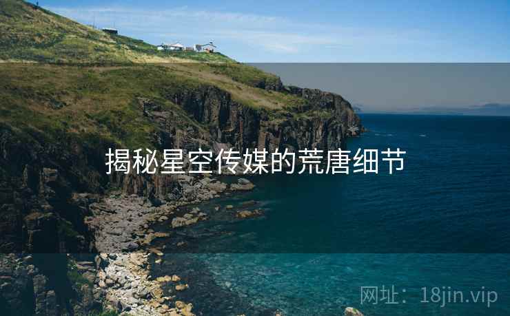 揭秘星空传媒的荒唐细节