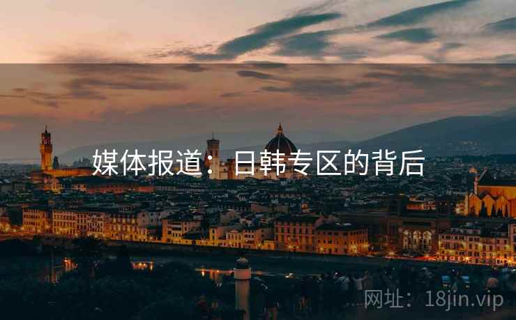 媒体报道：日韩专区的背后