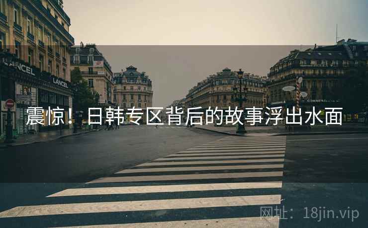 震惊！日韩专区背后的故事浮出水面