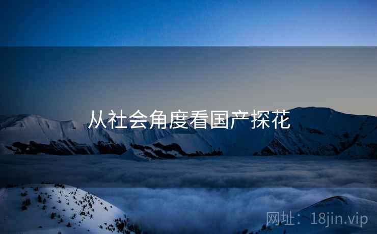从社会角度看国产探花