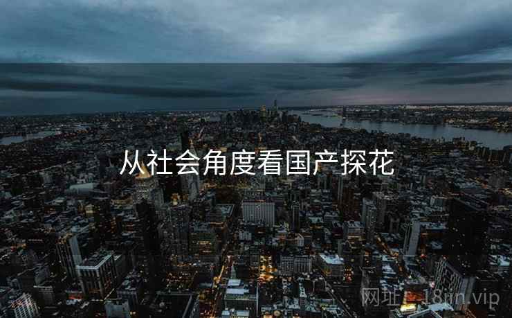 从社会角度看国产探花