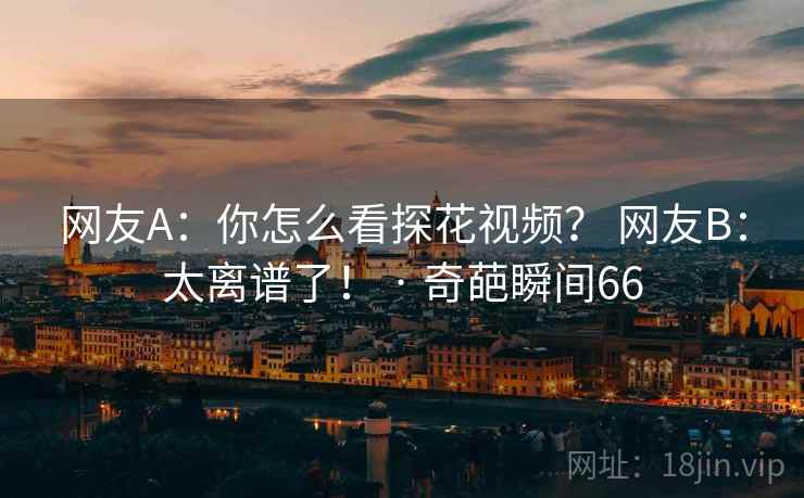 网友A：你怎么看探花视频？ 网友B：太离谱了！ · 奇葩瞬间66