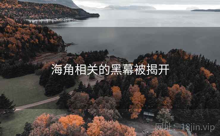 海角相关的黑幕被揭开
