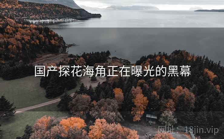 国产探花海角正在曝光的黑幕
